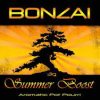 BONZAI Summer Boost Herbal Incense – premium ultra high potency aromatic blend pack, factory sealed, bright tropical scent