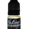 Buy Blazing Blueberry liquid incense– ultra concentrated sweet aromatic liquid, sealed bottle, authentic ripe blueberry scent