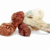 Blue Meanie Magic Mushrooms – Golden brown caps, thick stems, deep blue bruising, ultra-potent strong psychedelic strain