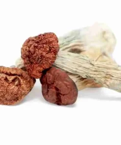 Blue Meanie Magic Mushrooms – Golden brown caps, thick stems, deep blue bruising, ultra-potent strong psychedelic strain