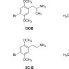 Buy 3-FMC Phenethylamine Powder online from expressk2.com