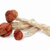 Amazonian Magic Mushrooms – Large golden reddish-brown caps, thick stems, blue bruising, classic spiritual potent strain