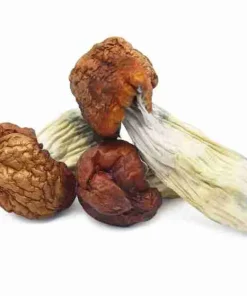 Buy Blue Pulaski Magic Mushrooms Online