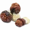 Looking to buy Bluey Vuitton Mushroom Liquid Culture (10ml)? ExpressK2 offers lab-tested, pure genetics with secure checkout and fast, discrete shipping.
