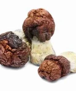 Looking to buy Bluey Vuitton Mushroom Liquid Culture (10ml)? ExpressK2 offers lab-tested, pure genetics with secure checkout and fast, discrete shipping.