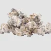 Looking to buy Enigma Psilocybe Cubensis? ExpressK2 offers lab-tested, pure isolated genetics with secure checkout and fast, discrete shipping.