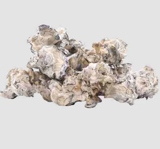 Looking to buy Enigma Psilocybe Cubensis? ExpressK2 offers lab-tested, pure isolated genetics with secure checkout and fast, discrete shipping.
