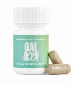 Buy Euphoria Psychedelics Microdose Mushrooms Edibles