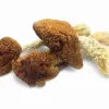 Buy Golden Teachers Mushrooms — classic Psilocybe Cubensis strain, bright golden‑yellow caps and sturdy stems