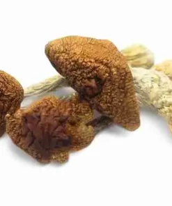 Buy Golden Teachers Mushrooms — classic Psilocybe Cubensis strain, bright golden‑yellow caps and sturdy stems