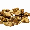 Buy Hollandia Magic Truffles — premium Dutch Psilocybe Hollandia, firm golden‑brown dense nodules
