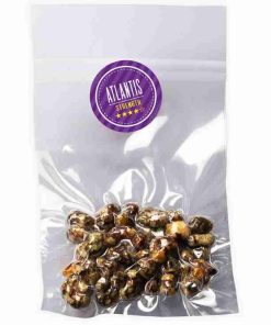  Buy Magic Truffles Psilocybe Atlantis Online — premium Dutch sclerotia, firm golden‑brown dense nodules