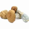 Buy Makilla Gorilla Magic Mushrooms Online — ultra potent heavyweight Cubensis, thick dense meaty golden‑brown mushrooms