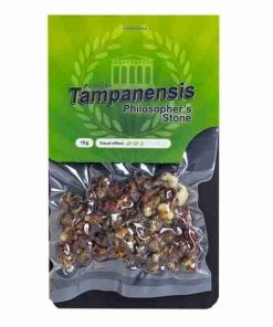 Buy Psilocybe Tampanensis Magic Truffles Online. Premium medium‑high potency psychedelic truffles. Original Philosopher’s Stone strain, clear insights.