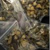 Buy Psychedelic Mushrooms & Magic Truffles