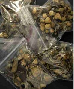 Buy Psychedelic Mushrooms & Magic Truffles