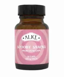 Buy Scooby Snacks Micro Dose Capsules. Balanced‑blend mushroom capsules for focus, creativity & mood. Pre‑measured doses, NO high or hallucinations.