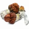 Buy Texas Yellow Cap Magic Mushrooms. Premium medium‑high potency Psilocybe cubensis. Bright golden caps, stunning visuals, energetic & happy effect.