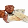 Buy Tidal Wave Magic Mushrooms. Elite ultra‑high potency Psilocybe cubensis hybrid (Penis Envy x B+) Massive visuals, deep transformation & heavy body load.