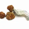Buy Trinity Magic Mushrooms Online — premium hybrid Psilocybe Cubensis, dense meaty golden‑brown mushrooms