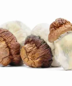 Buy Code Blue Magic Potent Mushrooms. Psilocybin mushroom is a type of hallucinogenic mushroom and a polyphyletic informal group of fungi that contain a prodrug of psilocybin.