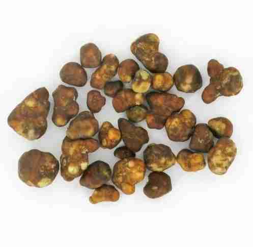 Fantasia Magic Truffles For Sale — Premium fresh psychedelic truffles with balanced potency & joyful effects. 100% natural, vacuum‑sealed, fast discreet shipping to USA, Europe & Canada. Buy now.