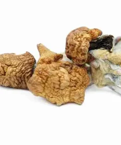 Buy Koh Samui Magic Psilocybe Mushrooms. Premium high‑potency tropical strain. Intense bright visuals & high‑energy euphoria. Perfectly dried.