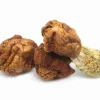Penis Envy Dino Eggs vs standard mushrooms – Shape and strength