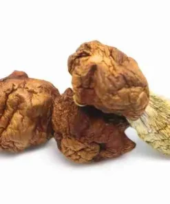 Penis Envy Dino Eggs vs standard mushrooms – Shape and strength