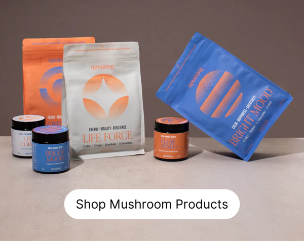 How to choose high quality mushroom products – comparison of premium vs low‑grade supplements