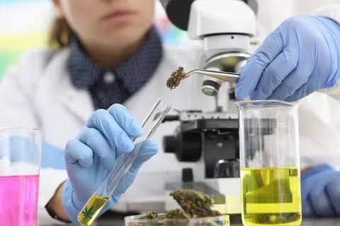 Research Chemicals vs Synthetic Cannabinoids: Understanding the Differences, Categories, and Safety Considerations