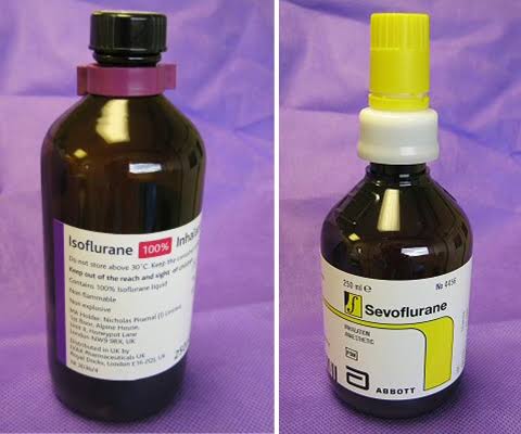Isoflurane vs Sevoflurane: Key Differences, Uses, Safety & Which Is Better